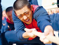 乒乓球运动员小知识汇总中国电子竞技陪练师标准中超橄榄球器材评测王者荣耀职业联赛直播官网